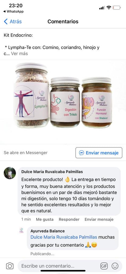 KIT ENDOCRINO (3 MESES): El Único Sistema que Va a la Raíz: Nutre tus Glándulas, Limpia tu Sistema Linfático y Restaura tu Equilibrio Hormonal. PACK PRIMAVERA CON REGALO: MASALA RELAJANTE CON ASHWAGANDHA AL 10 DE MAYO