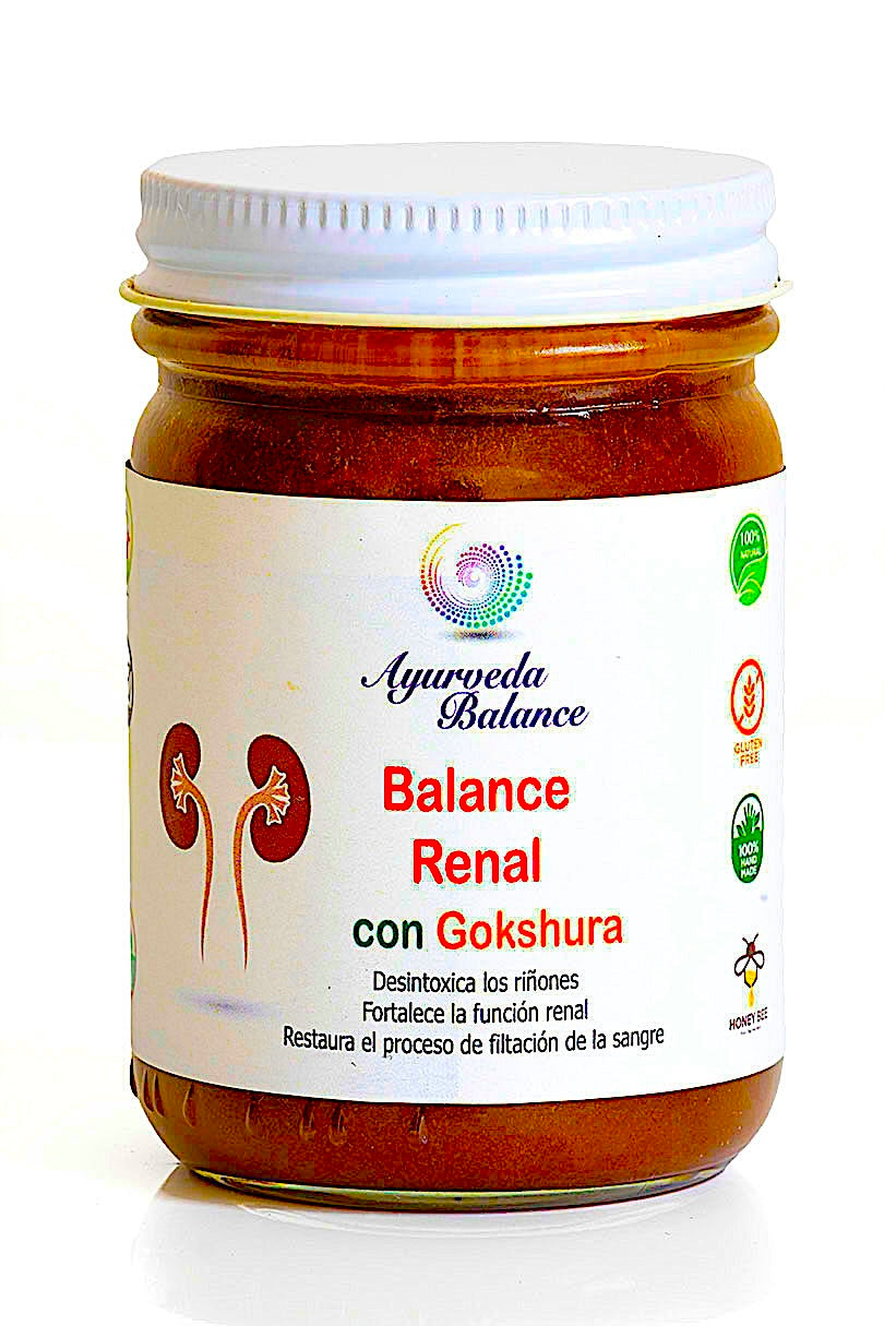 BALANCE RENAL ( 4.5 MESES )