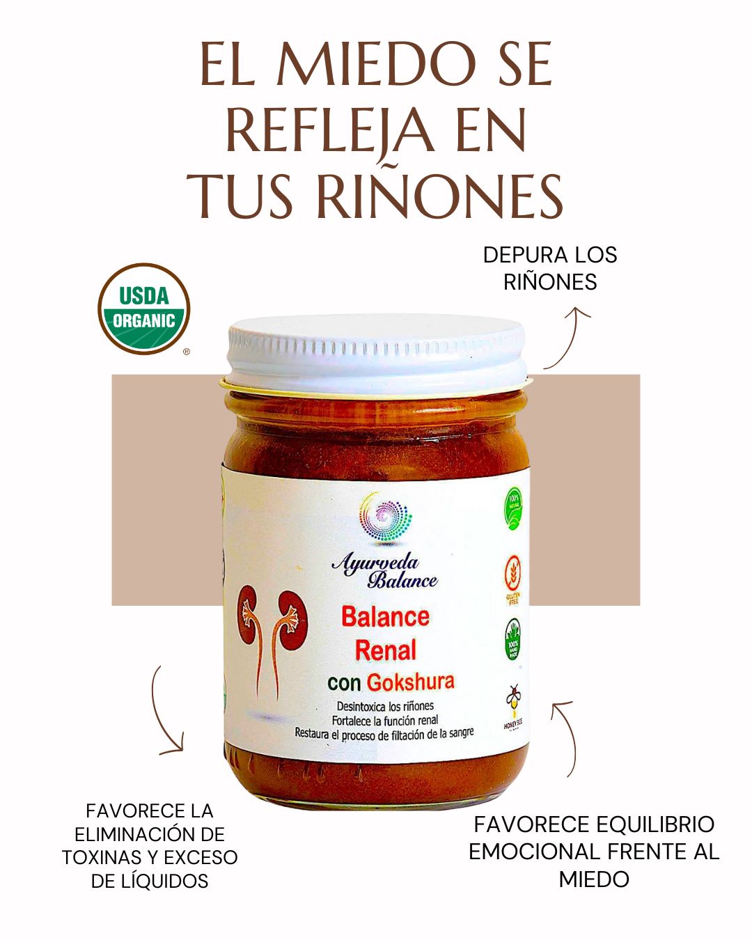 BALANCE RENAL ( 4.5 MESES )