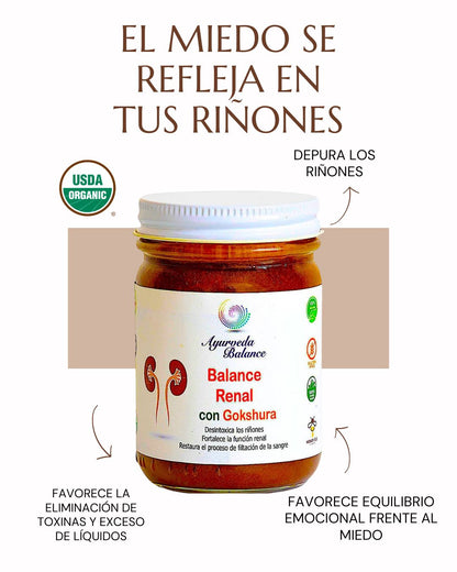 BALANCE RENAL ( 4.5 MESES )