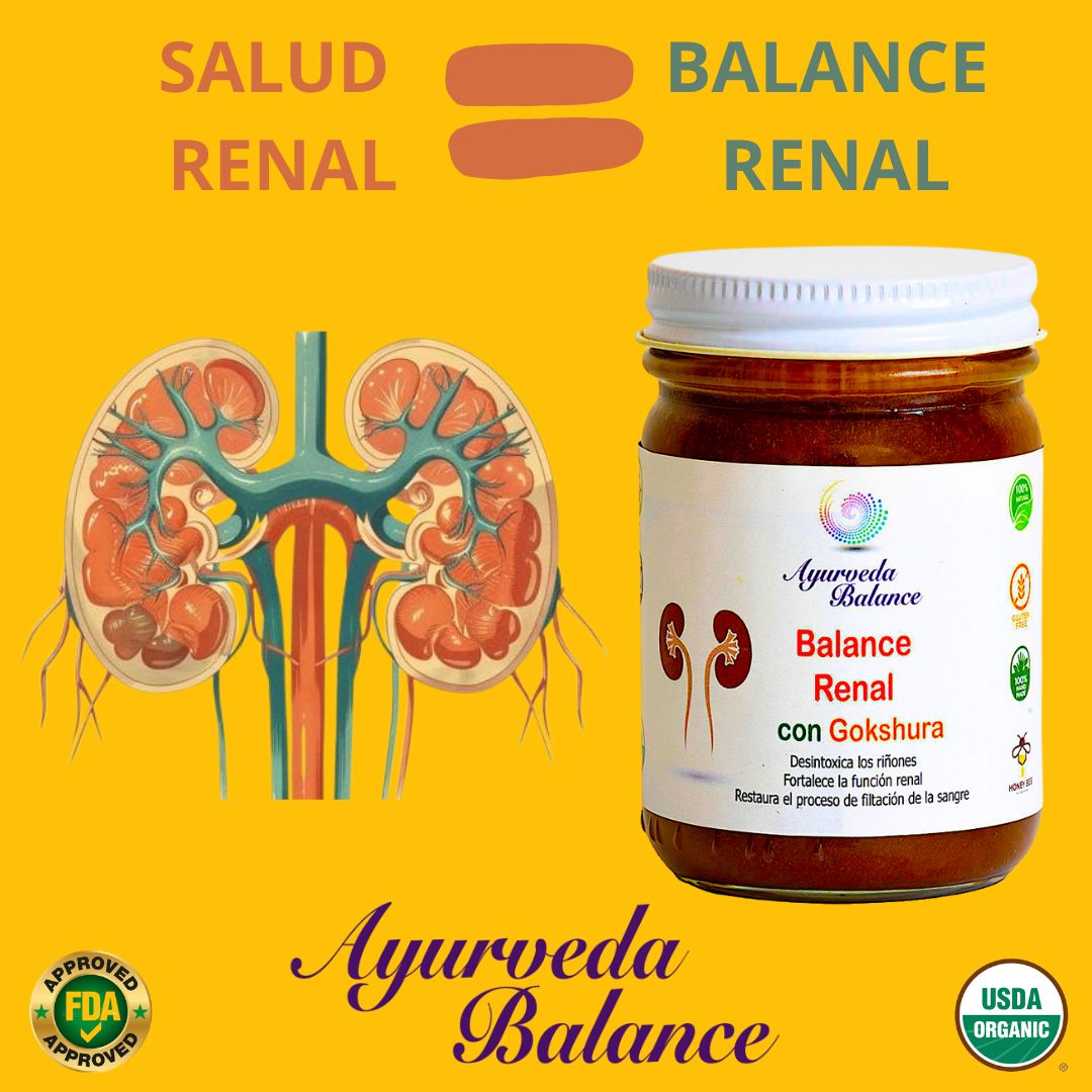 BALANCE RENAL ( 4.5 MESES )