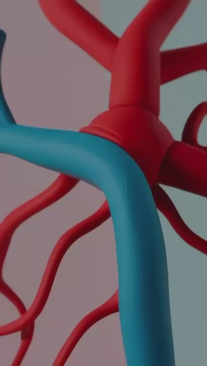 KIT CIRCULATORIO ( 2 MESES ) - TE DETOX DE REGALO